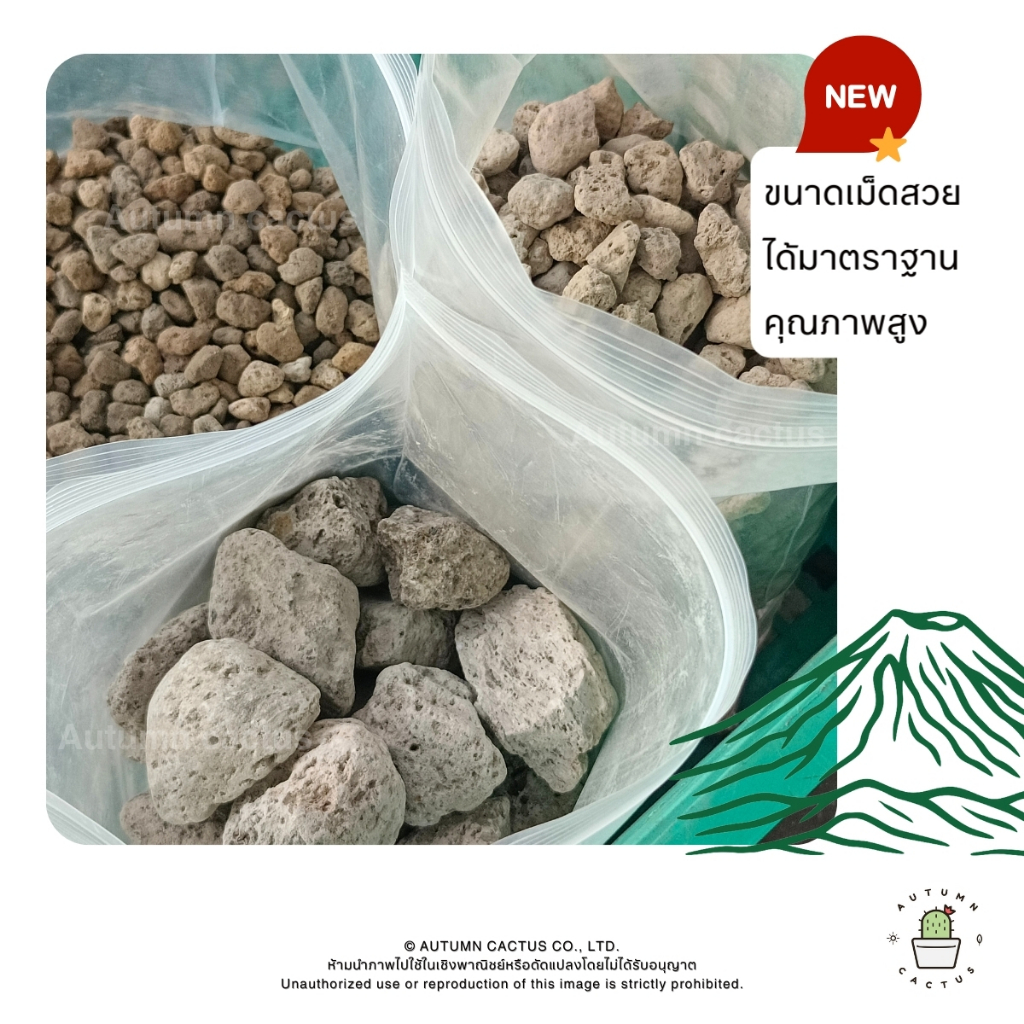 รูปภาพ 4