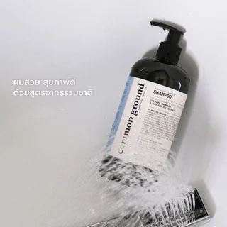 Common Ground Volumizing Shampoo Refill แชมพู Avocado Oil Extracts อ่อนโยน ลดผมมัน แก้ผมเสีย 500mL