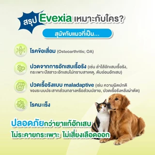 Evexia HF บรรจุแผงละ 10 เม็ด อาหารเสริมบรรเทาอาการปวด ลดการใช้ยา สำหรับสุนัขและแมว