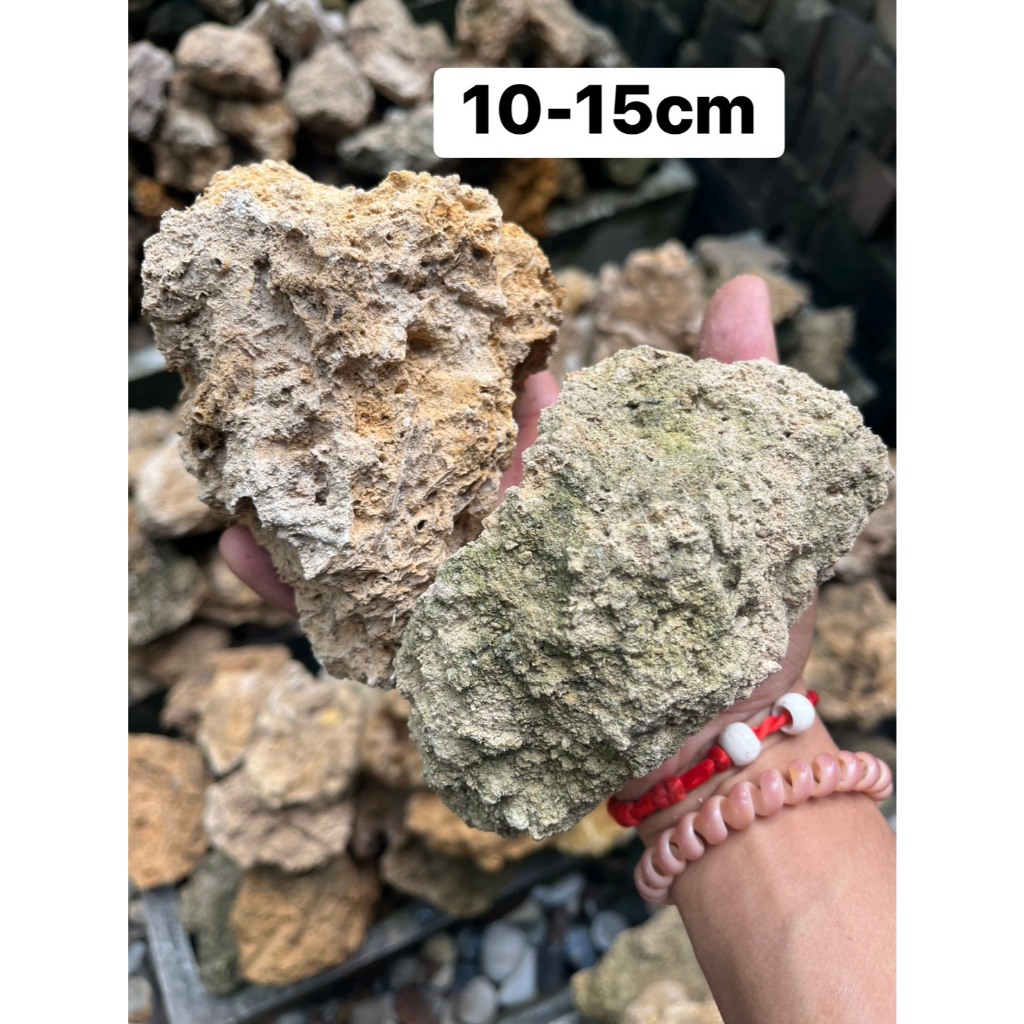หินฟองน้ำ หินแต่งสวน ขนาด 15-20cm ( ขายเป็นก้อน )