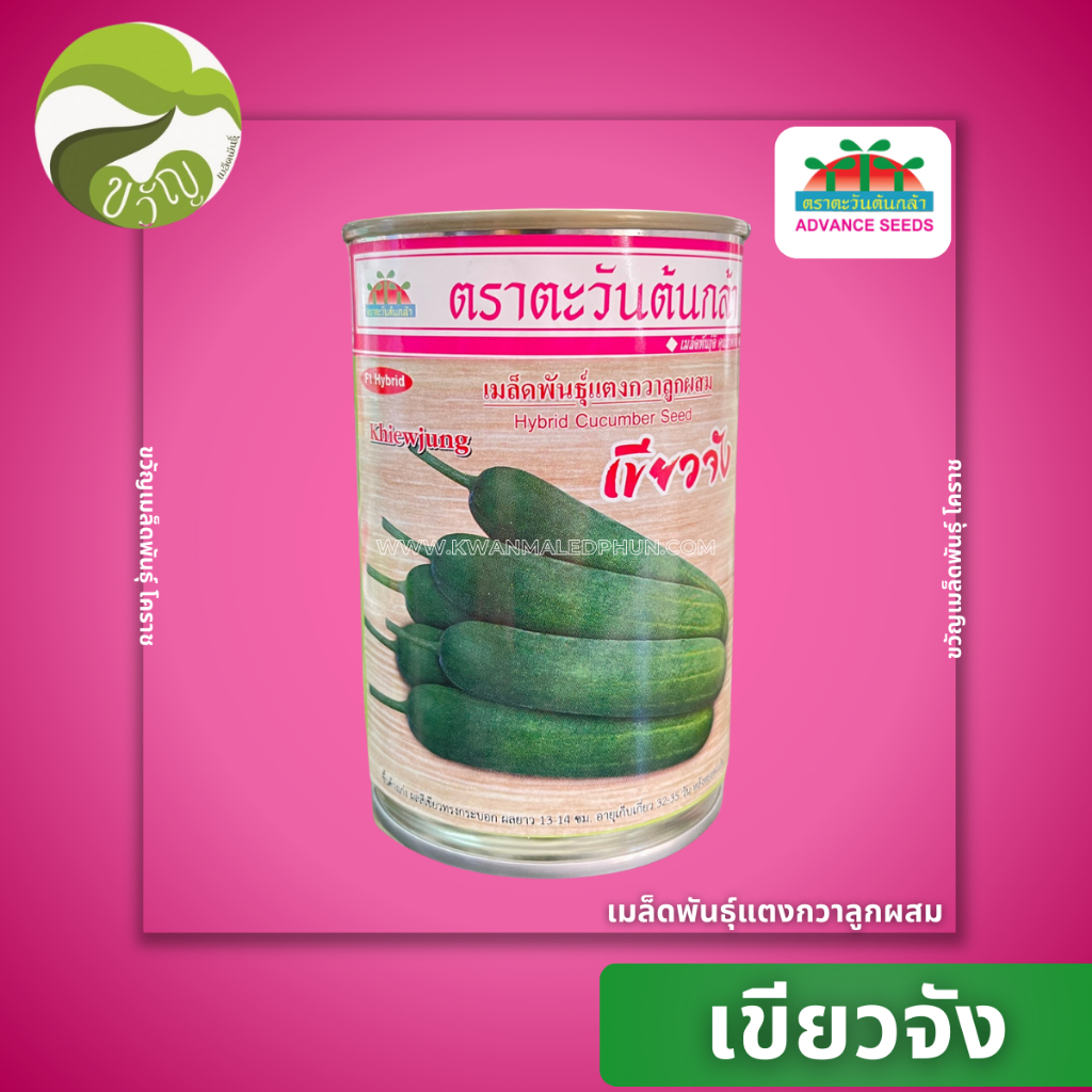 เมล็ดพันธุ์ แตงกวา ลูกผสม เขียวจัง ตราตะวันต้นกล้า ลอตใหม่