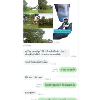 น้ำหมักปลาทะเลโมเลกุลเล็กกว่าน้ำหมักทั่วไปดูดซึมทันทีไม่ต้องรอผ่านการย่อย(ออแกนิก)เกรดส่งออกจีนได้เจ้าเดียวในไทยTwin Pro