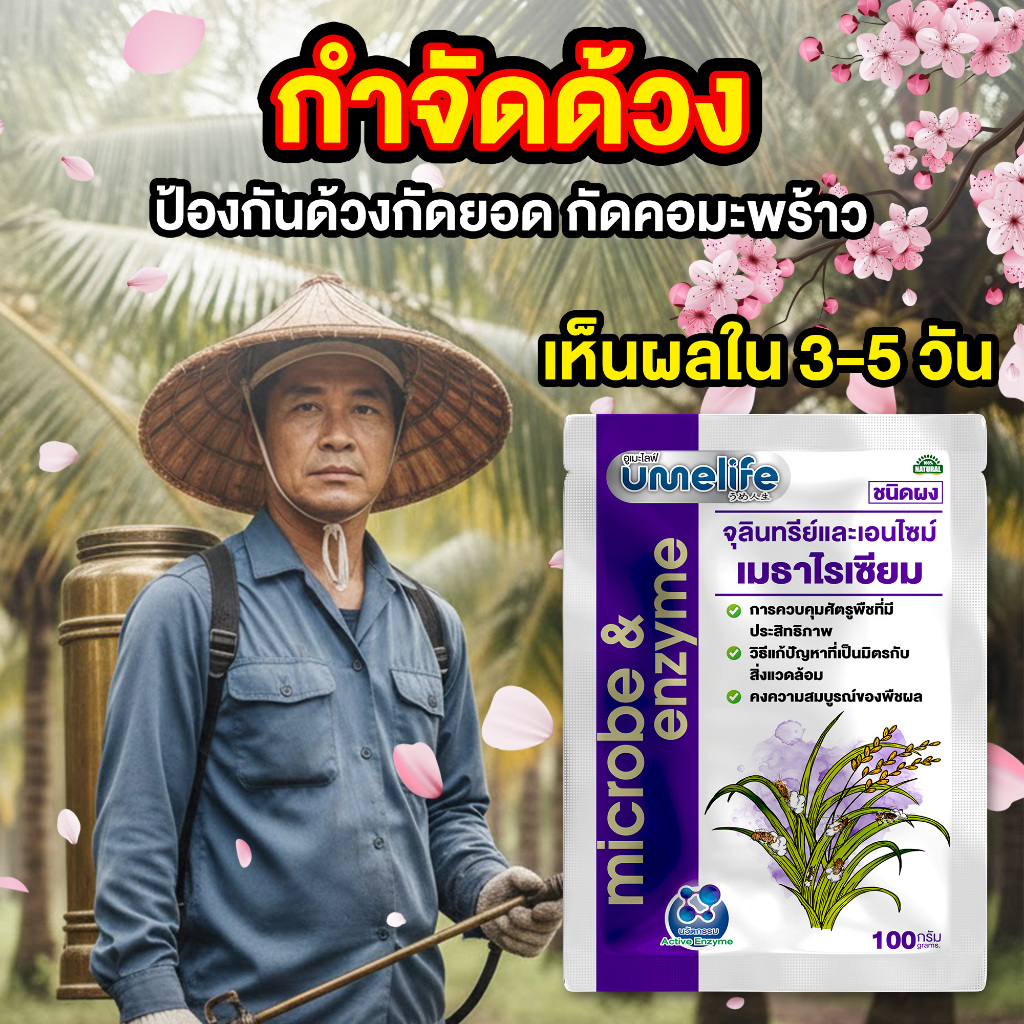 อูเมะไลฟ์ เมธาไรเซียม 100 กรัม แพ็ค 1-5 ซอง กำจัดด้วง ตัวอ่อนด้วง กำจัดปลวก กำจัดแมลงใต้ดิน