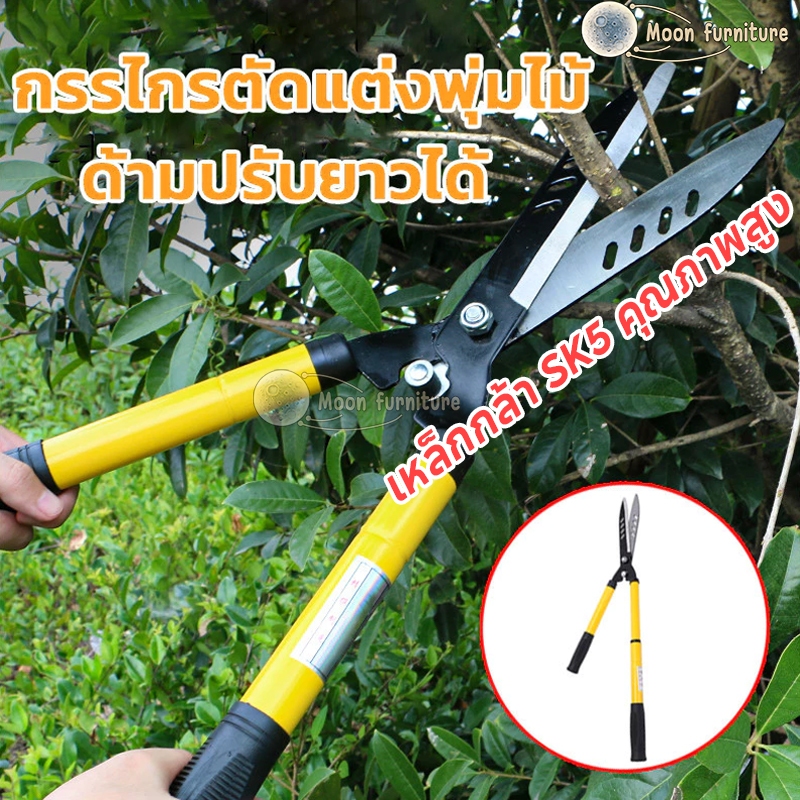 กรรไกรตัดหญ้า สามารถยืดได้หดได้ ด้ามเหล็กหุ้มพลาสติก เหมาะสำหรับตัดกิ่งที่สูง กรรไกรตัดกิ่ง กรรไกรตัดต้นไม้
