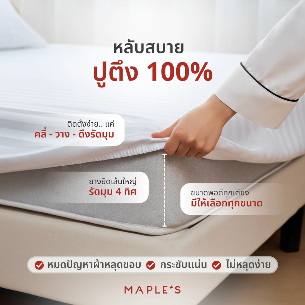 MAPLE S ผ้าปูรัดมุมลายริ้ว 550เส้น กันไรฝุ่น สำหรับที่นอน 6-10นิ้ว ขนาด 3.5-6ฟุต thumbnail 8