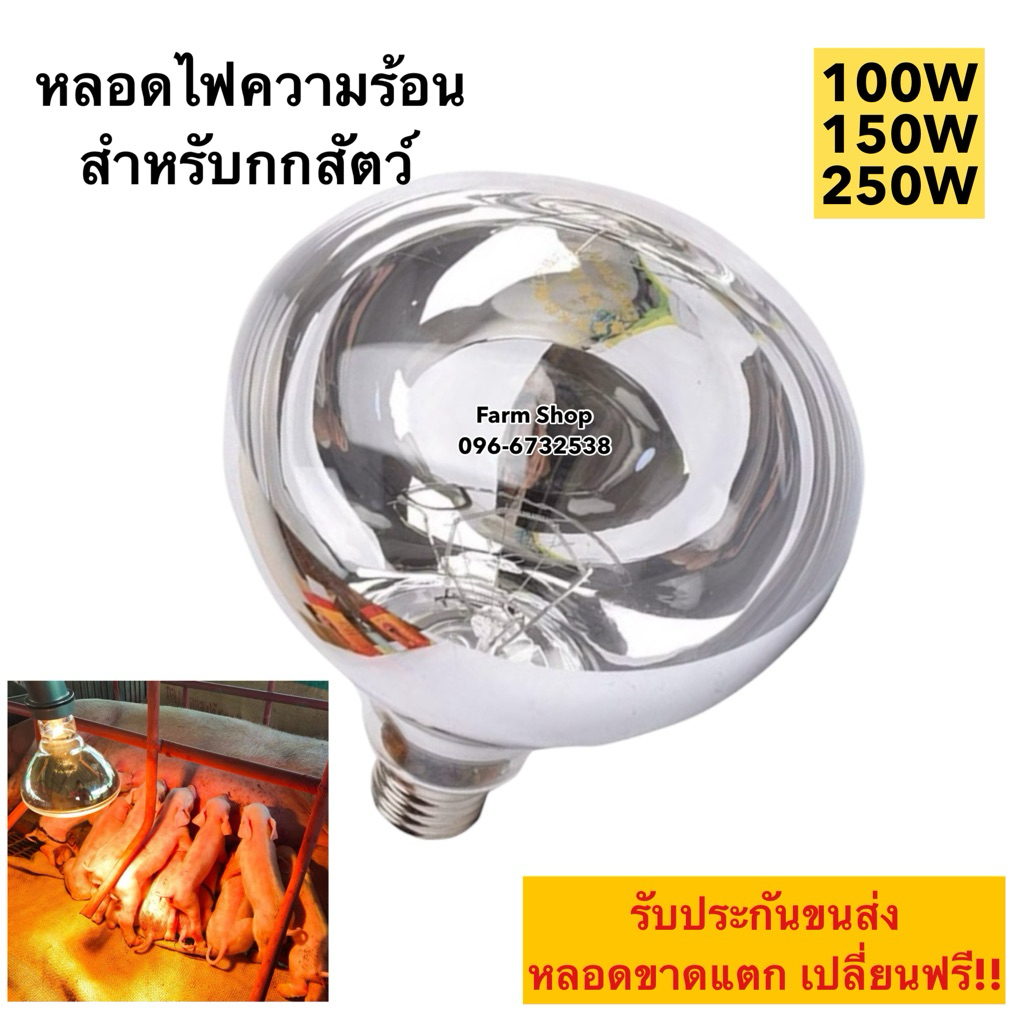 หลอดไฟอินฟาเรดกกไก่ กกหมู กกนก แสงสีเหลืองส้ม [ขาวใส] E27หลอดไฟให้ความอบอุ่น100W 150W 250W