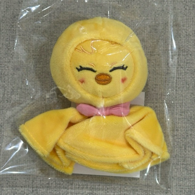 #พร้อมส่ง Skzoo dominATE Bag charm