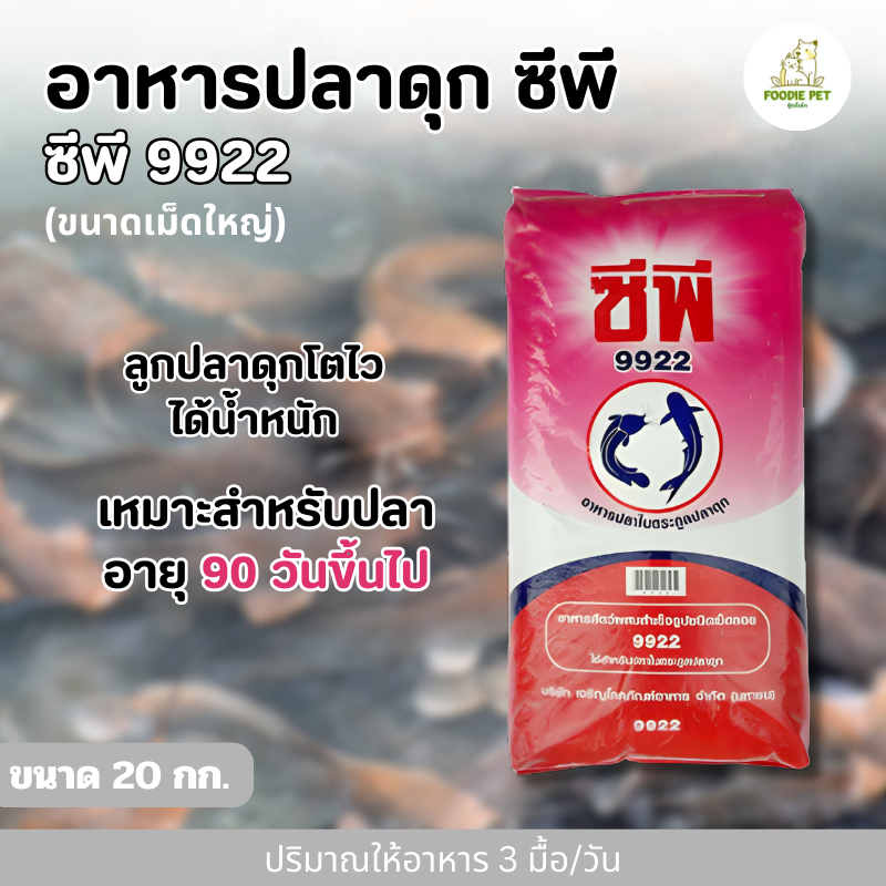 อาหาร ปลาดุก เม็ดใหญ่ 9922 สำหรับปลาอายุ 90 วันขึ้นไป (บ.ซีพี)