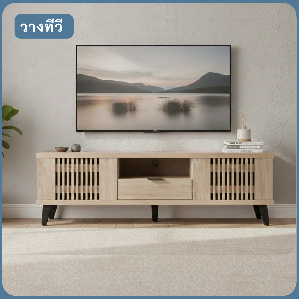 ตู้วางทีวี ตู้เก็บของ สไตล์โมเดิร์นหรือสแกนดิเนเวียน รุ่น TV 165