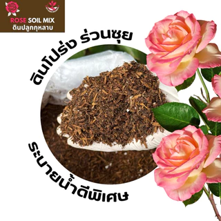 ดินปลูกกุหลาบ ดินกุหลาบ สูตรระบายน้ำดีพิเศษ 10 กิโล ผสมสำเร็จแล้วพร้อมปลูก พร้อมส่ง