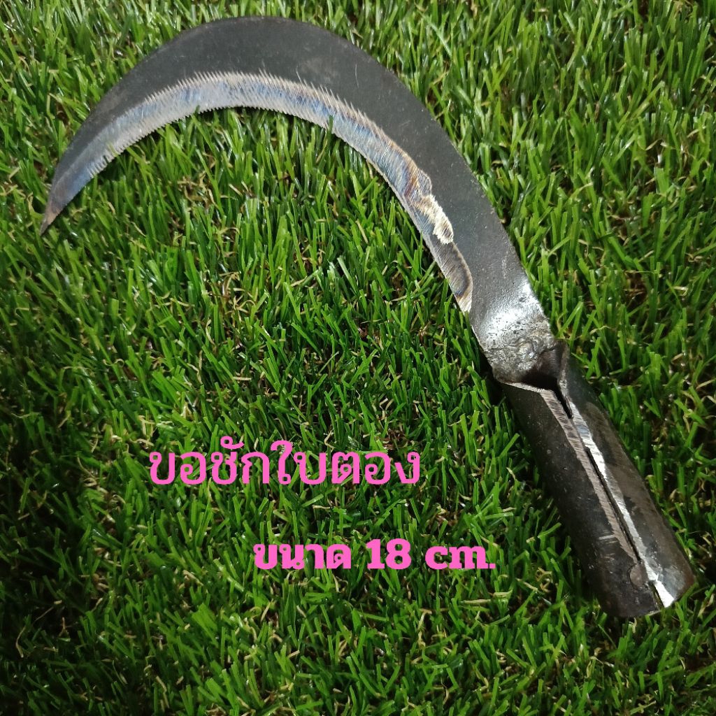 มีดขอเกี่ยวผลไม้ ขอชักใบตอง ขอชักกิ่งไม้ ขอชักเหล็กอเนกประสงค์