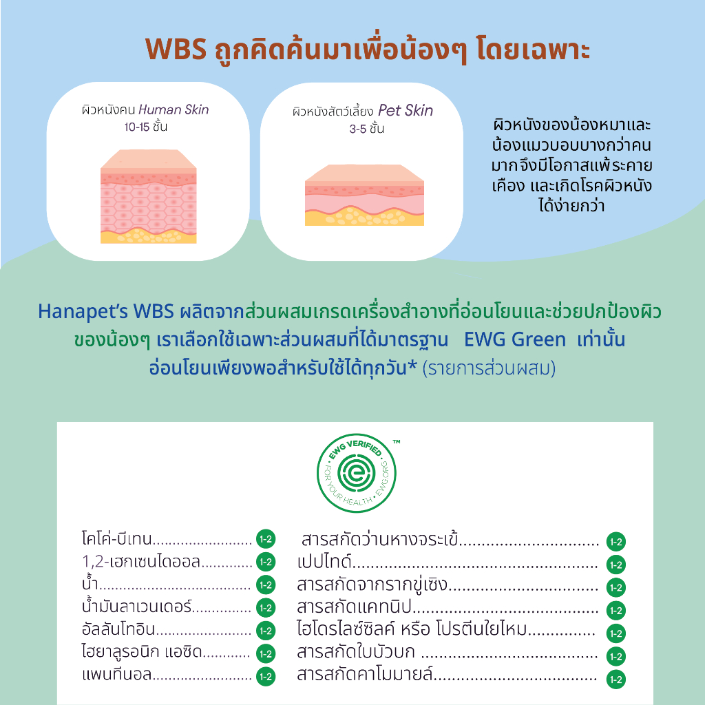 รูปภาพ 5