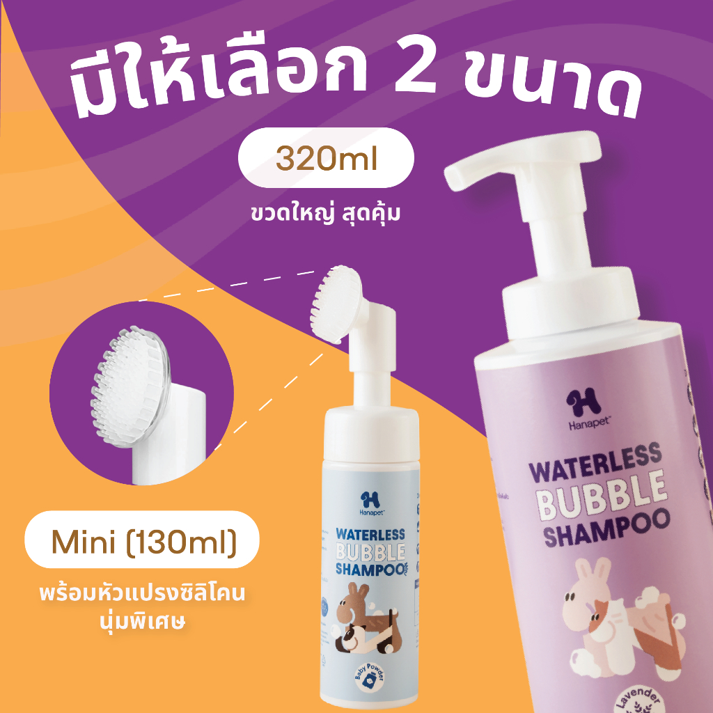 รูปภาพ 9