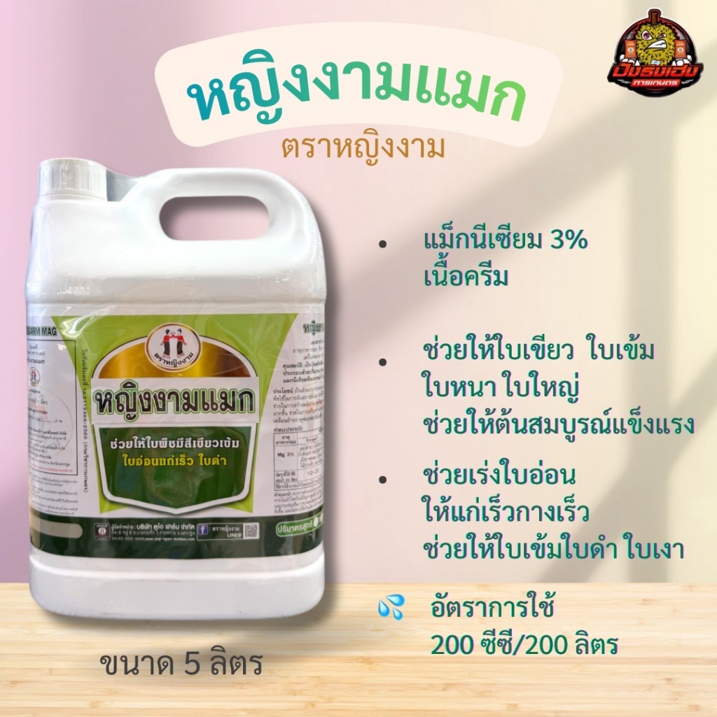 หญิงงามแมก 5 ลิตร ตราหญิงงาม แมกนีเซียม ช่วยให้ใบเขียวใบเข้ม ใบเงามัน ช่วยสังเคราะห์แสง