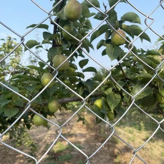 รั้วตาข่ายเหล็กถัก Chain link Fence ยาว10m ตา2นิ้ว ลวดตาข่ายเหล็ก รั้วบ้าน สวน ประตูรั้วบ้าน รั้วลวดตาข่ายสำหรับกรงสัตว์