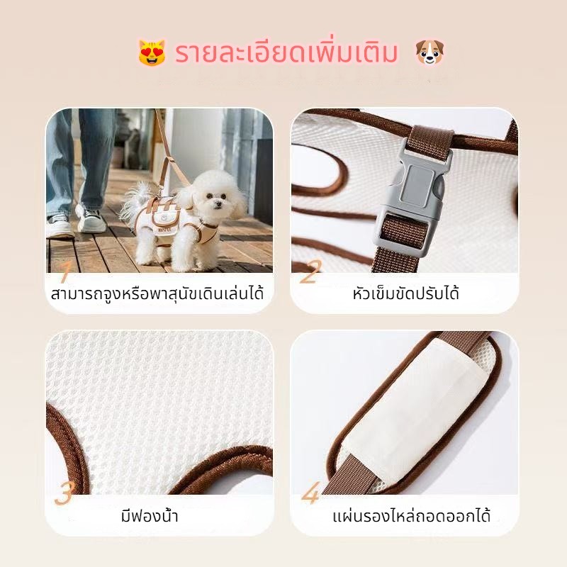 Boqi Factory กระเป๋าใส่สัตว์เลี้ยงแบบพกพา สำหรับแมวและสุนัข กระเป๋าเป้สะพายหลัง Hipipet รูปที่ 6