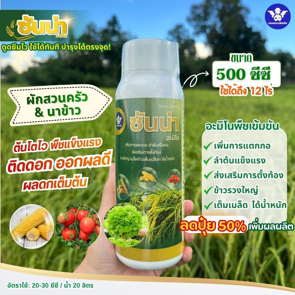 ซันน่า 500 ซีซี หัวเชื้อเข้มข้น-สูตรลดปุ๋ย | เพิ่มการแตกกอ บำรุงข้าวตั้งท้อง รวงใหญ่ ได้น้ำหนัก