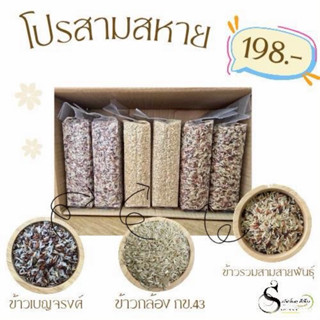 โปรสามสหายข้าวเบญจรงค์/ข้าวกล้อง43/ข้าวรวมสามสายพันธุ์