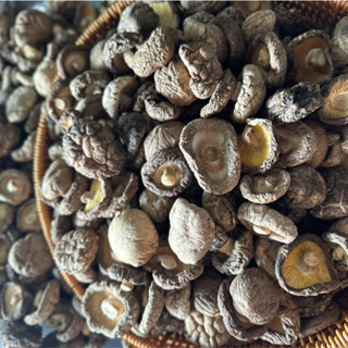 เห็ดหอมแห้ง AA4 เห็ดหอมดอกหนา ดอกกลาง เกรดA Dried Mushroom