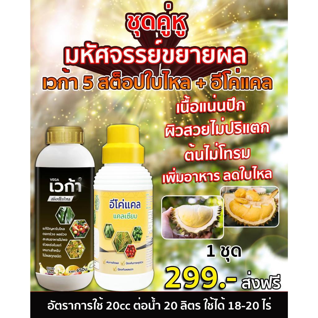 เวก้าหยุดใบไหล+อีโค่แคล (1ลิตร) เนื้อแน่น ผิวสวยไม่ปริแตก ต้นไม่โทรม เพิ่มอาหาร หยุดใบไหล