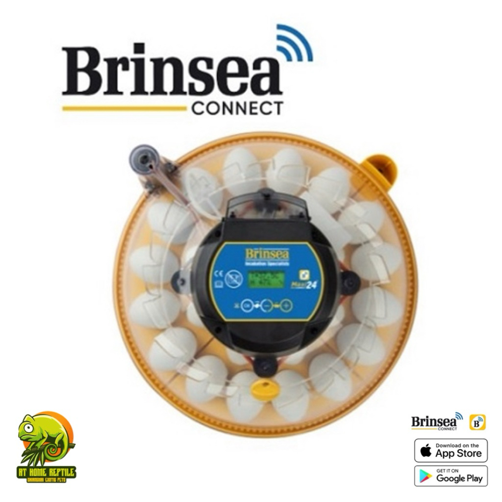 Brinsea Maxi 24 EX Connect app controlled incubator ตู้ฟักไข่อัตโนมัติเชื่อมต่อ app ได้