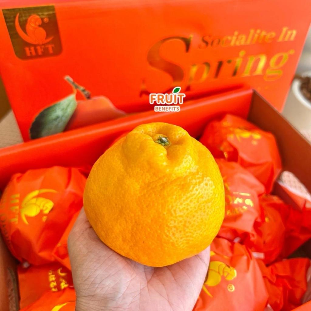 ส้มจุก ตรานกแก้วกล่องส้ม พรีเมี่ยม อร่อยมาก กล่อง 15-24 ลูก สดใหม่