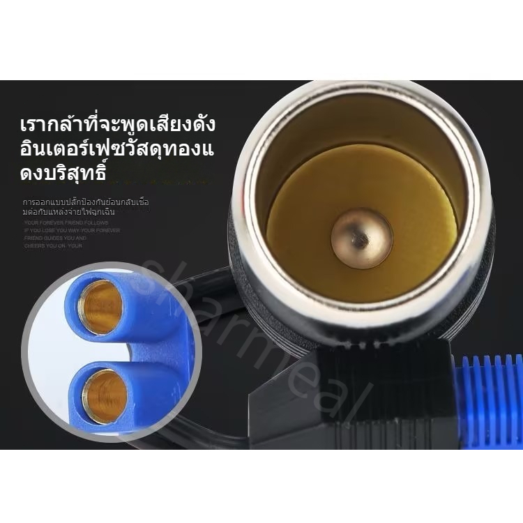 รูปภาพ 9