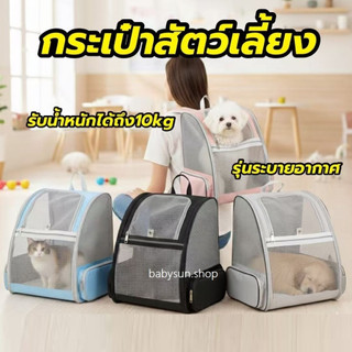 กระเป๋าแมว หมา เป้สัตว์เลี้ยง พร้อมส่งในไทย ใบใหญ่มาก พับเก็บได้