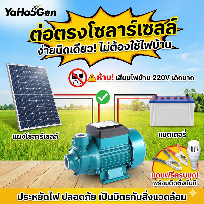 DC SOLAR QB60 12V 24V 48V ปั๊มน้ำหอยโข่ง ปั๊มหอยโข่ง ทรงหน้าหมู