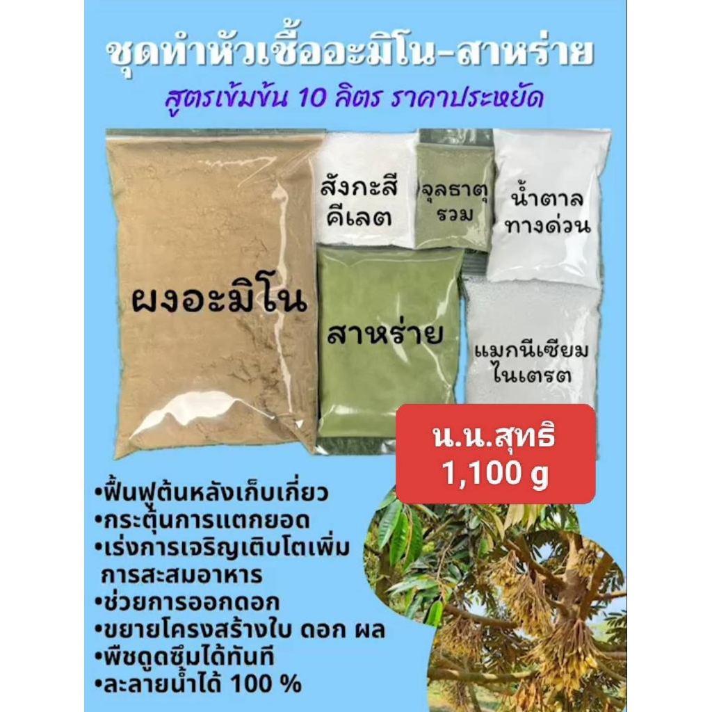 อะมิโนสาหร่ายสูตรผสมเอง 10 ลิตร ผสมน้ำฉีดพ่นได้ 10,000 ลิตร ช่วยเพื่อนโตเร็ว สะสมอาหาร กระตุ้นการออกดอก และติดผลดี
