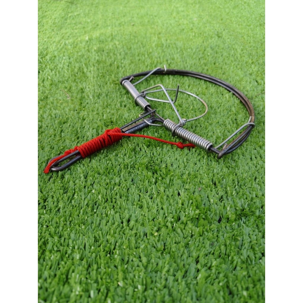 รูปภาพ 4