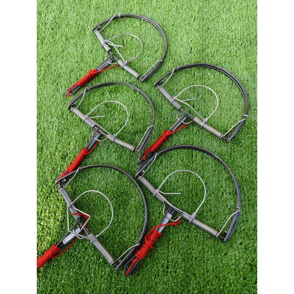 (พร้อมส่ง+ส่งไว) กับดักหนูโมดิฟาย 6 นิ้ว 1 ชุด 5 อัน โมดิฟายที่เสียบเหยื่อพร้อมใช้งาน