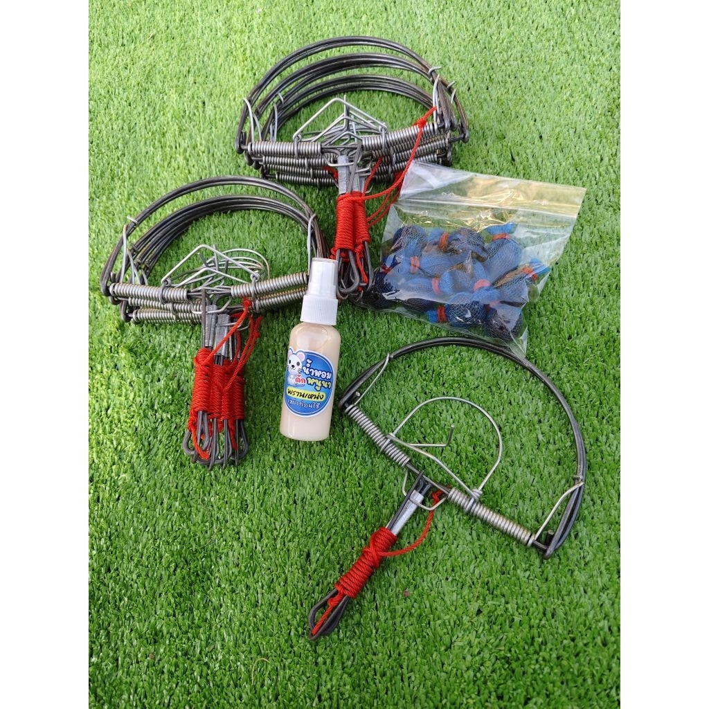 COD เซ็ตพร้อมดัก กับดักหนู 6 นิ้วโมดิฟาย + น้ำหอม + ขี้ใต้ แถมเชือกผูกคละสี พร้อมส่ง (เก็บโค้ดส่งฟรี)