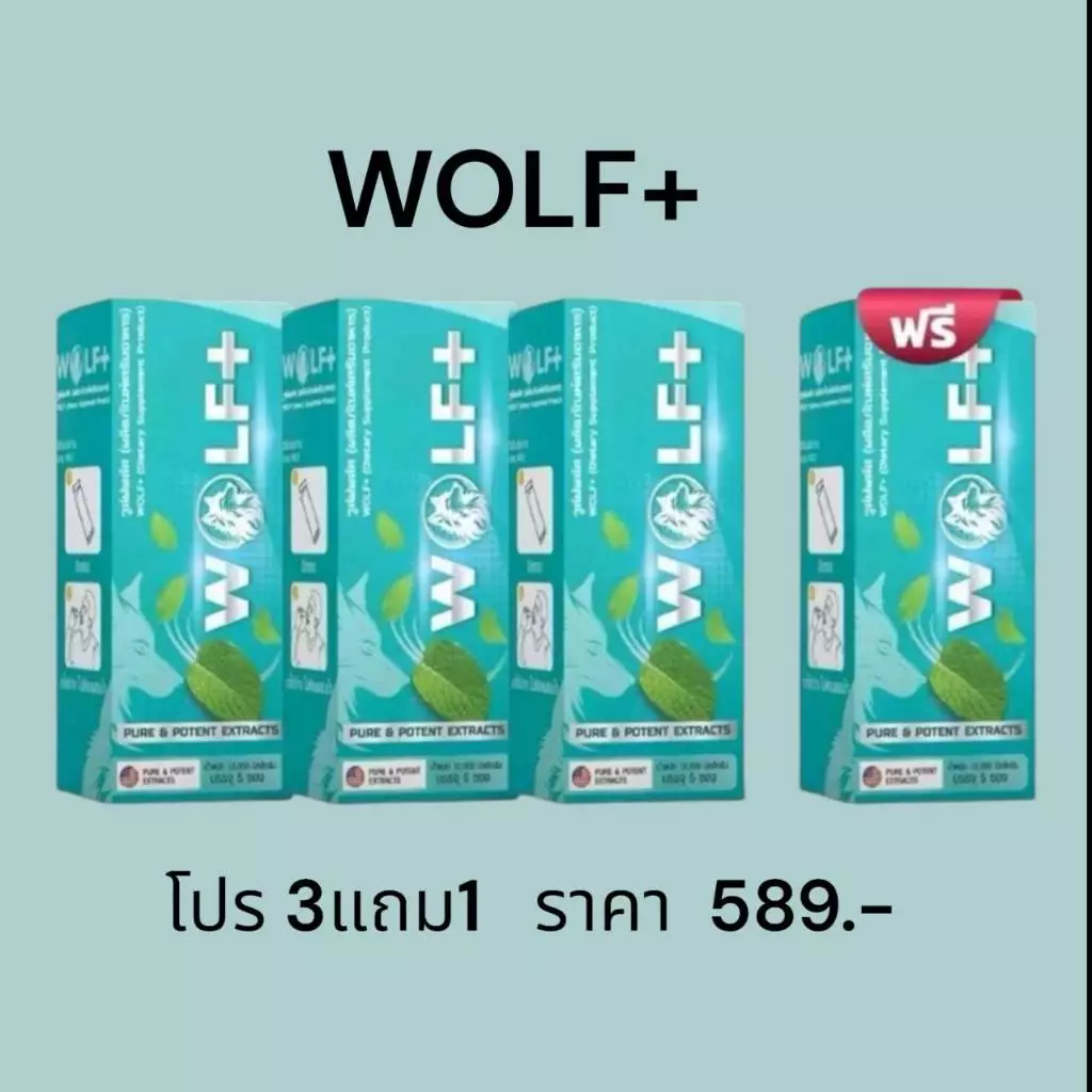 โปร 3แถม1 วูล์ฟพลัส WOLF+ ผลิตภัณฑ์เสริมอาหารผงกรอกปากรสมินท์ 1 กล่อง มี 5 ซอง