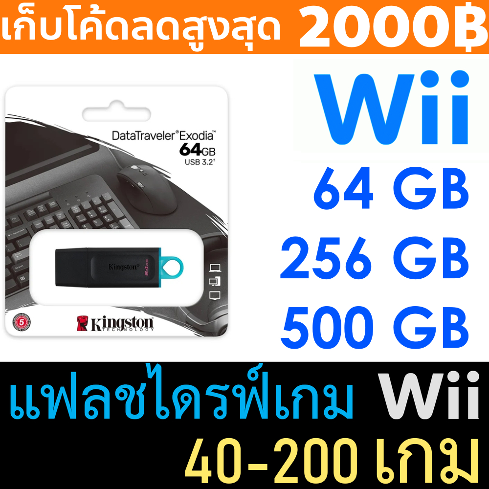แฟลชไดรฟ์เกม Wii - Wii Flash Drive