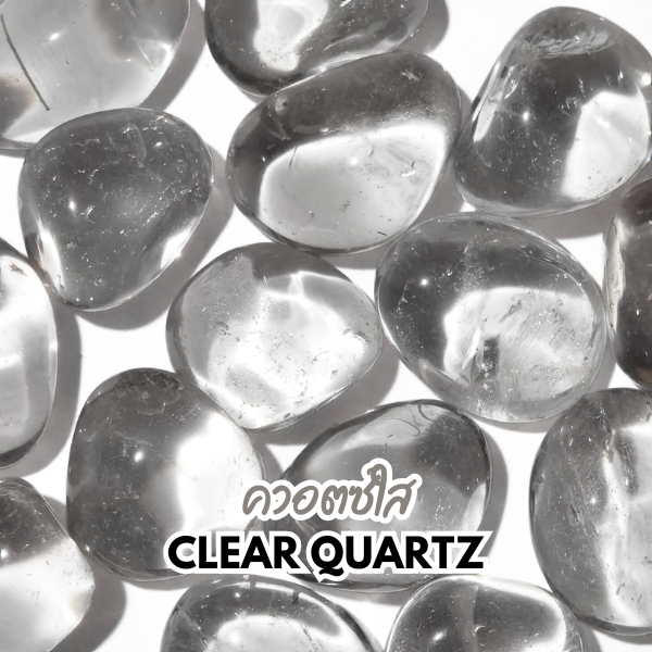 (คัดพิเศษ) หินขัดมน Clear Quartz ควอตซ์ใส หินแห่งการรักษา การเติบโตทางจิตวิญญาณ
