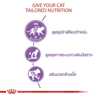 Royal canin sterilised 2kg,4kg และ 10kg อาหารแมวหลังทำหมันสำหรับแมวโต ทำหมัน อายุ 1 ปีขึ้นไป