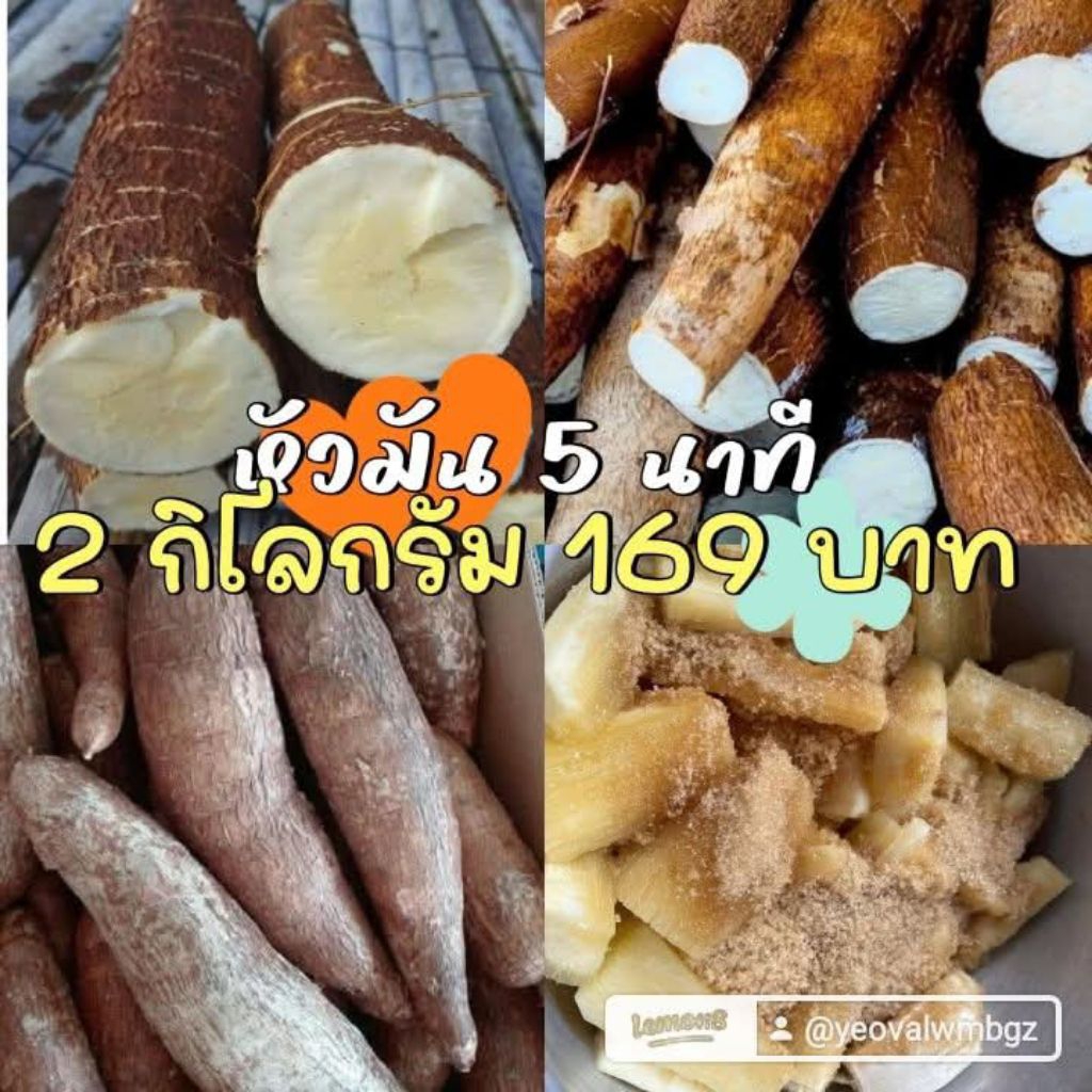 หัวมัน 5 นาทีมันๆหนึบๆหวานนิดๆทำได้หลากหลายเมนู 2 กิโลกรัม 169บาท