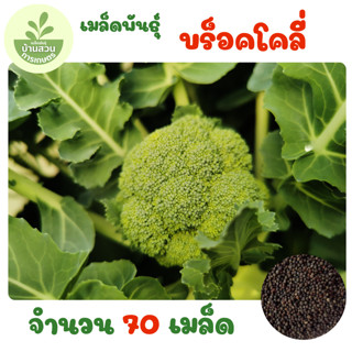 เมล็ดพันธุ์บร็อคโคลี่ จำนวน 70 เมล็ด