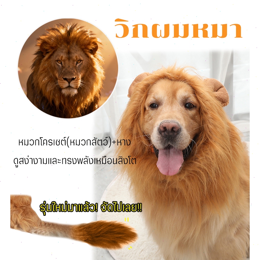 วิกผมแมว วิกผมหมา ทรงแผงคอสิงโต สัตว์เลี้ยงวิกสิงโตวิกผมวิกผมสำหรับสุนัข_x
