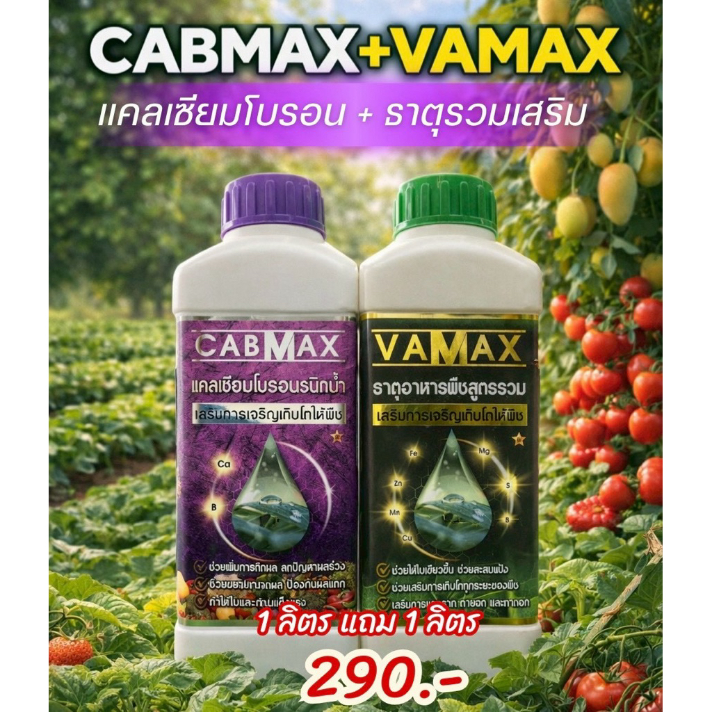cabmaxแคลเซียมโบรอน+vamaxธาตุรวมเสริม ปุ๋ยน้ำทางใบ 1ลิตรแถม1ลิตร (C1+V1)