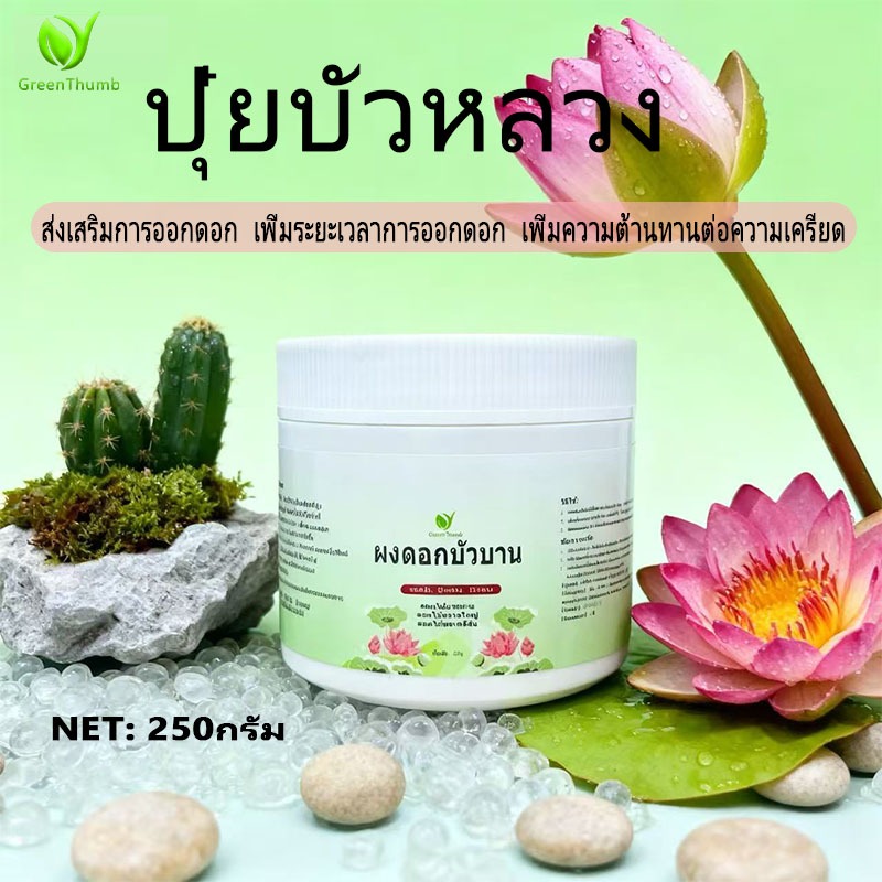 【GreenThumb】ปุ๋ยบัวบาน 250g  -ปุ๋ย ยืดระยะเวลาออกดอกบัว กระตุ้นการออกดอก เพิ่มจำนวนและคุณภาพของดอก ใช้ได้กับพืชน้ำ