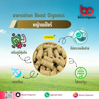 อาหารเต่าบกสูตรหญ้าเนเปียร์ Boost Organicsไฟเบอร์สูง ช่วยย่อย ขับถ่ายดี เต่ากินเพลิน 10 kg