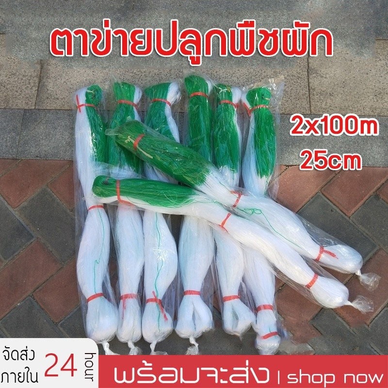 างปลูกผัก ค้างผัก 2*100m ตาข่ายปลูกผัก โครงไม้เลื้อย ค้างไม้เลื้อย ตะข่ายไนลอน ต้นไม้เลื้อย อวนแตง ตาข่ายปลูกแตงกวา