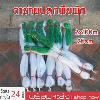 างปลูกผัก ค้างผัก 2*100m ตาข่ายปลูกผัก โครงไม้เลื้อย ค้างไม้…