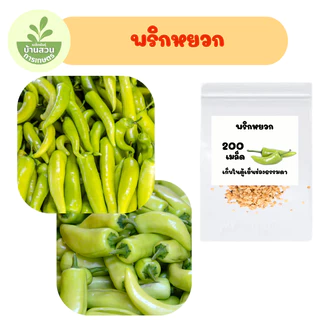 เมล็ดพันธุ์พริกหยวก จำนวน 200 เมล็ด