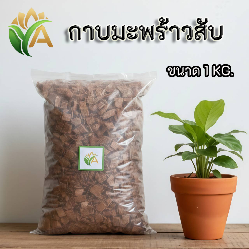 กาบมะพร้าวสับ ขนาด 1 กิโลกรัม เกรดดี ถุงใหญ่ ปรับปรุงโครงสร้างดิน ดูดซับน้ำได้ดี ลดความถี่ในการรดน้ำ ราคา ถูกที่สุด ดีลบีเคเค รูปภาพหลัก