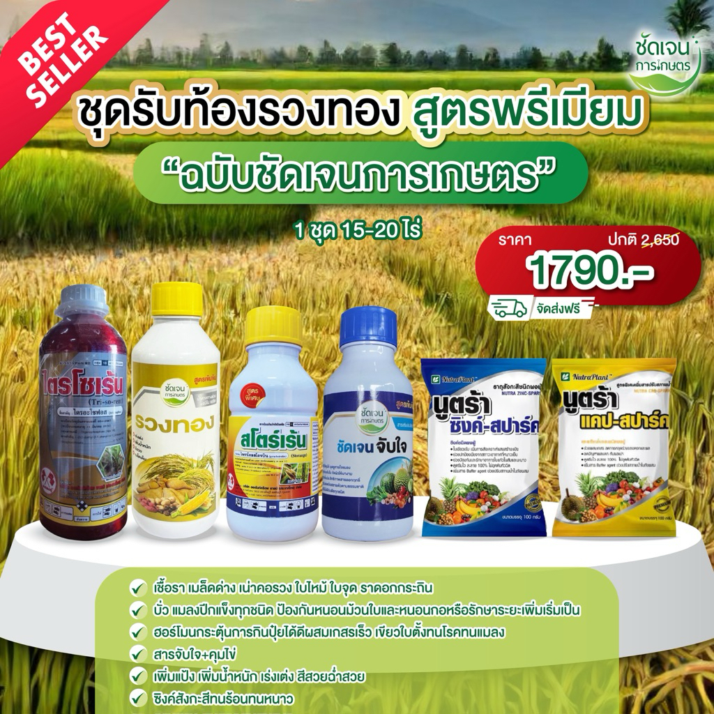 ชุดรับท้อง รวงทองพรีเมียม บำรุง แมลง เชื้อรา คุมไข่ ร้านชัดเจนการเกษตร 1ชุดป้องกัน20 ไร่