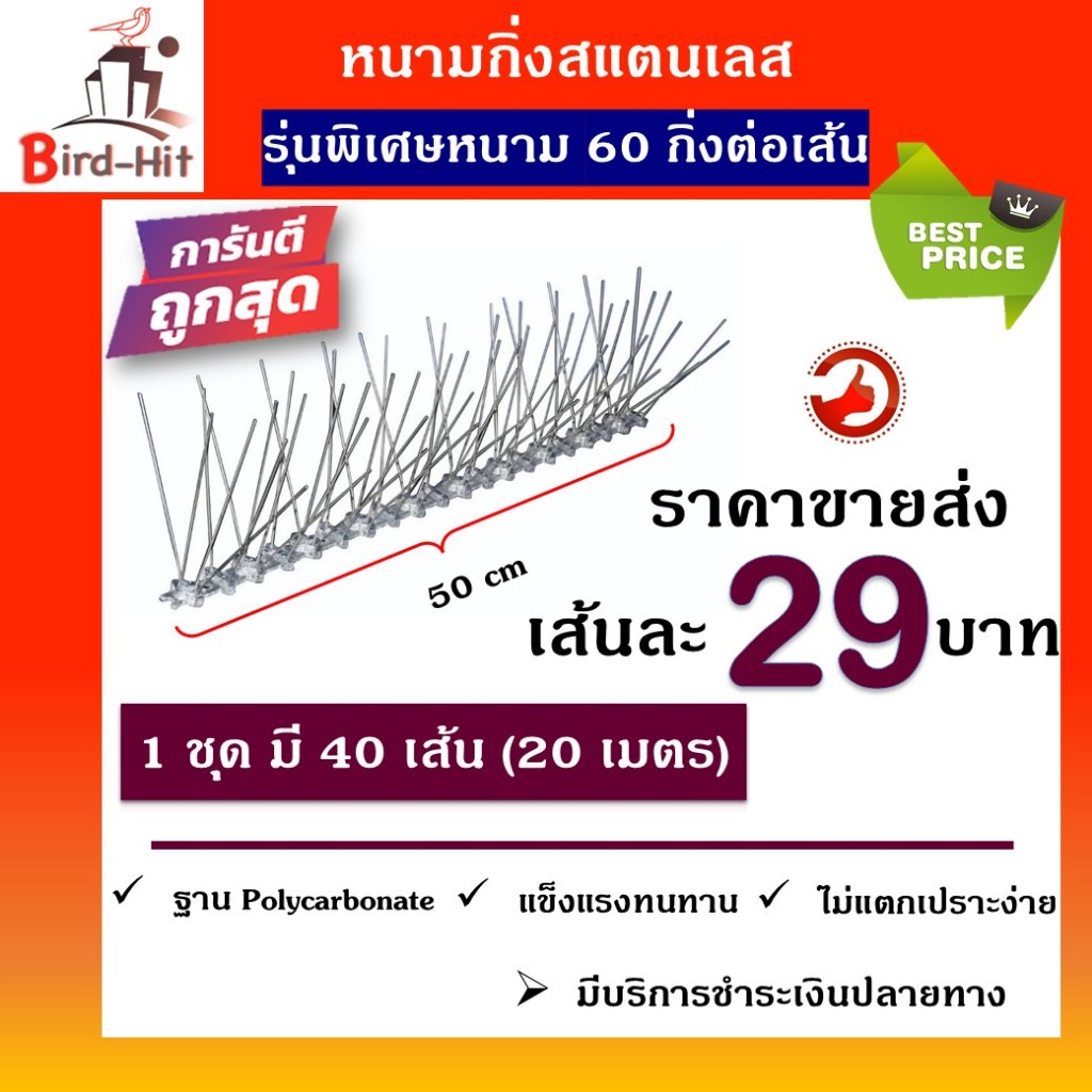 หนามกันนก​ ไล่นก​ หนามฐานโ​พลี​คาร์บอเนต​ รุ่นพิเศษ​ หนาม​ 60​ กิ่งต่อเส้น​ จำนวน​ 40 เส้น