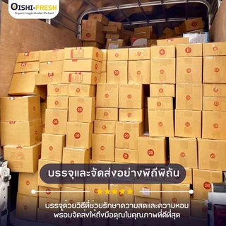 Oishi-Fresh อันดับ 1 มันหวานญี่ปุ่นเบนิฮารุกะ 5 ยี่ห้อเผาพร้อมทาน เนื้อเหลือง หอม หวาน 1 กก.4-6 หัว ก่อนเผา จัดส่ง 24ชม.
